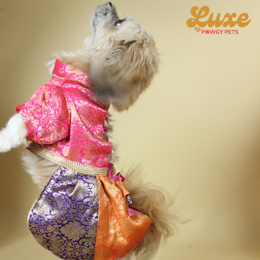 Luxe by Pawgy Pets Brocade Colour block lehenga dress