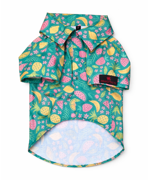 Pawgy Pets Fruity Casual shirt for Dogs (Green)