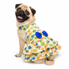 Balloon Dress | Lime Green | For Dogs | Pawgy Pets