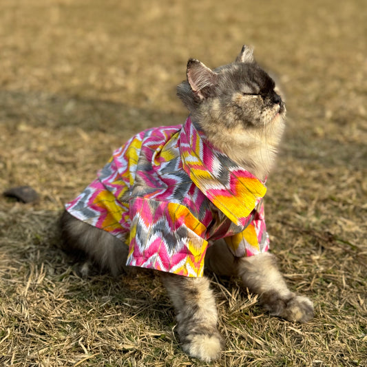 Pawgy Pets pink zig zag kurta for Cats