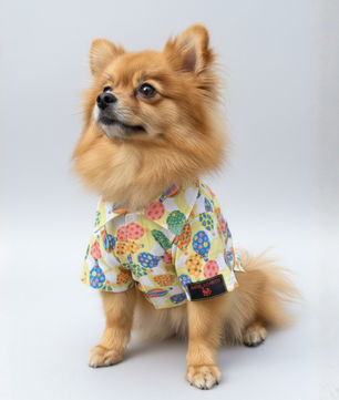 Pawgy Pets Balloon Casual shirt for Dogs (Lime Green)