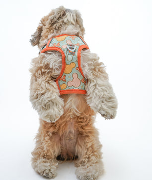 Pawgy Pets Padded Harness Mickey
