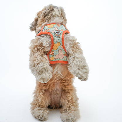 Mickey | Padded Harness for Dogs and Cats | Pawgy Pets