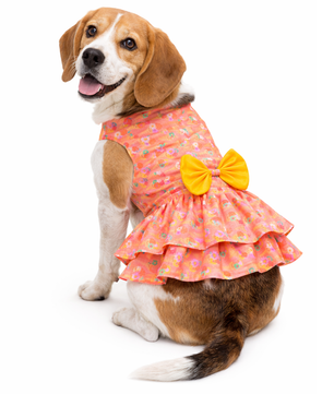 Softy Dress | Peach | For Dogs | Pawgy Pets