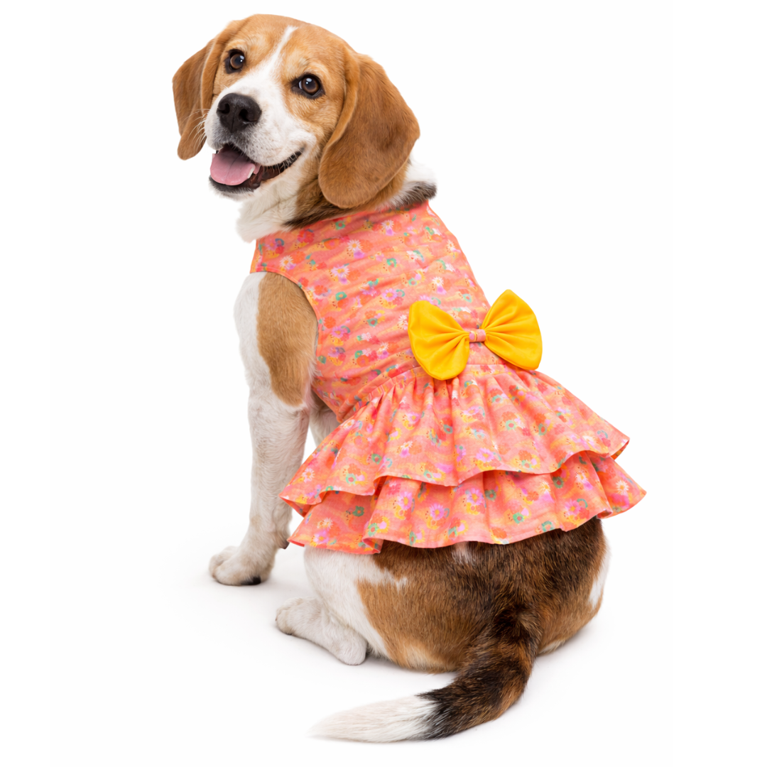 Softy Dress | Peach | For Dogs | Pawgy Pets