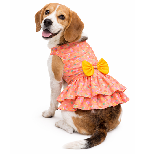 Pawgy Pets Softy Casual dress for Dogs (Peach)