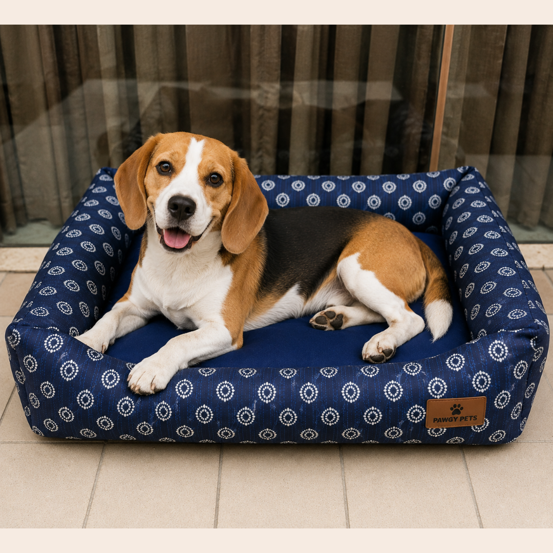 Indigo Bloom Bed | Dog Bed | Pawgy Pets