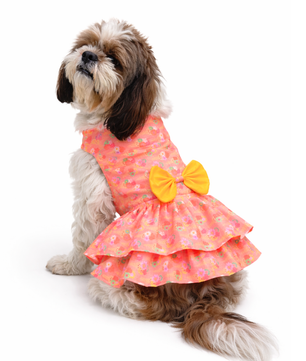 Softy Dress | Peach | For Dogs | Pawgy Pets
