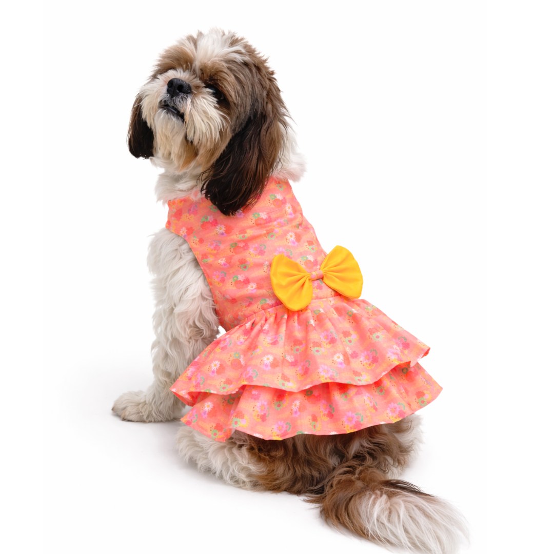Softy Dress | Peach | For Dogs | Pawgy Pets