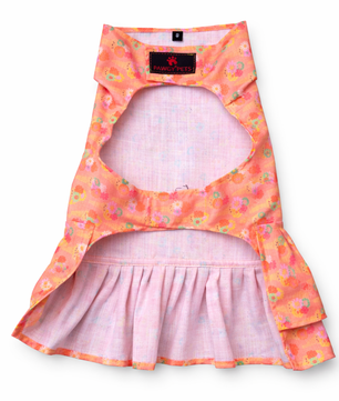 Softy Dress | Peach | For Dogs | Pawgy Pets