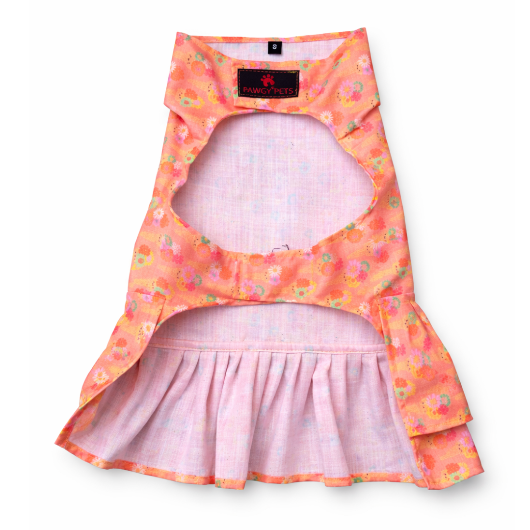 Softy Dress | Peach | For Dogs | Pawgy Pets
