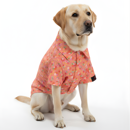 Softy Shirt | Peach | For Dogs | Pawgy Pets