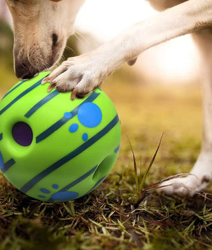 Pawgy Pets Sound Ball for Dogs