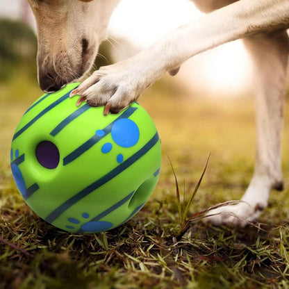 Pawgy Pets Sound Ball for Dogs