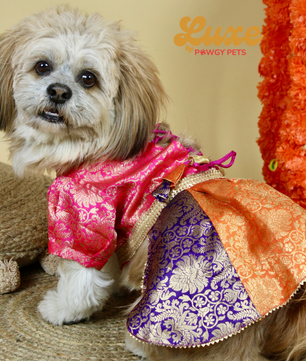 Luxe by Pawgy Pets Brocade Colour block lehenga dress