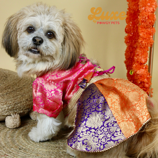 Luxe by Pawgy Pets Brocade Colour block lehenga dress