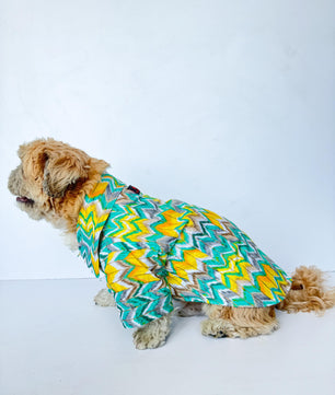 Pawgy Pets Zig-Zag kurta Green for Dogs
