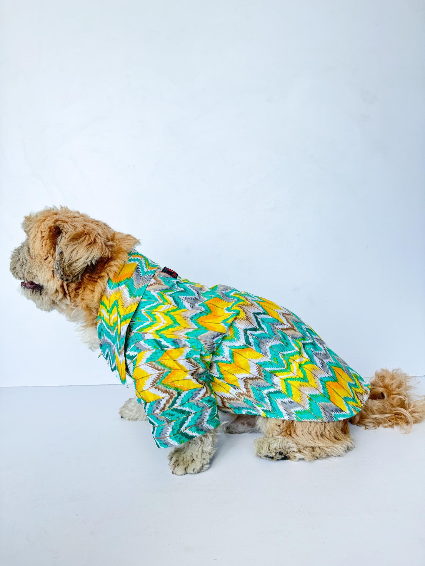Green Zig-Zag Kurta | For Dogs | Pawgy Pets
