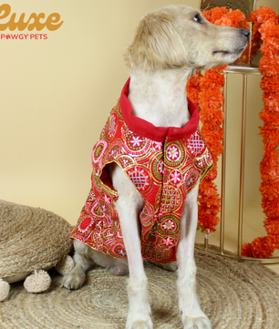 Luxe by Pawgy Pets Embroidered Red Kurta
