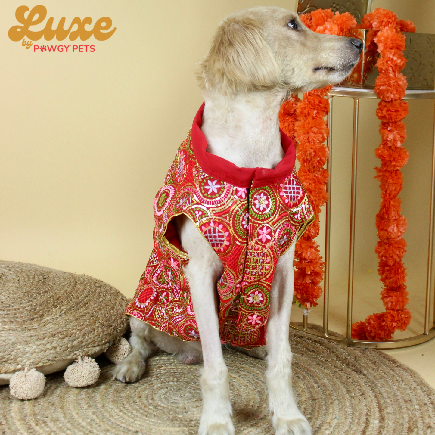 Red Embroidered Kurta | Luxe Collection | Pawgy Pets