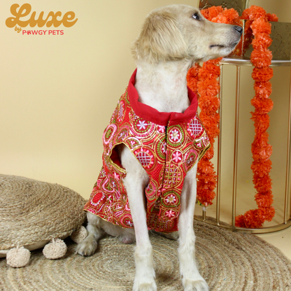Red Embroidered Kurta | Luxe Collection | Pawgy Pets