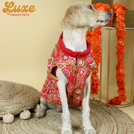 Luxe by Pawgy Pets Embroidered Red Kurta