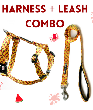 Pawgy Pets H- Harness & Leash Combo: Yellow Watermelon for Dogs and Cats