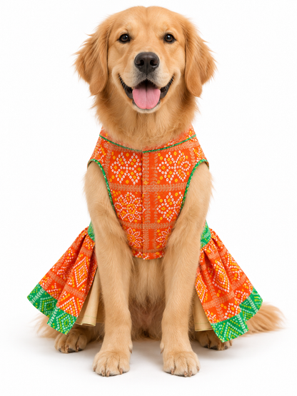 Festive Dress | Orange & Green | For Dogs | Pawgy Pets