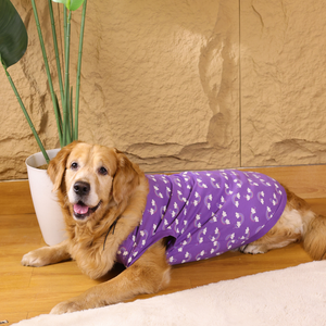 Rainbow T-shirt | Purple | For Dogs | Pawgy Pets