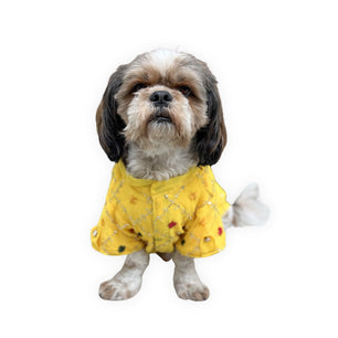 Pawgy Pets Festive Shirt Yellow for Dogs