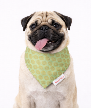 Pista Green Occasion Wear Bandana | For Dogs & Cats | Pawgy Pets