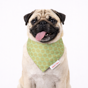 Pista Green Occasion Wear Bandana | For Dogs & Cats | Pawgy Pets