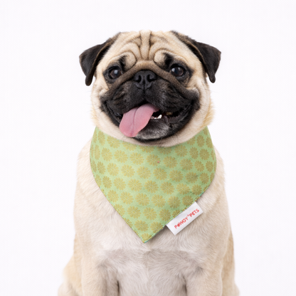 Pista Green Occasion Wear Bandana | For Dogs & Cats | Pawgy Pets