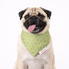 Pista Green Occasion Wear Bandana | For Dogs & Cats | Pawgy Pets
