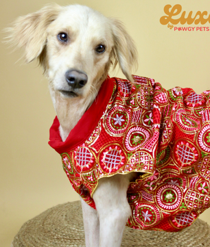 Luxe by Pawgy Pets Embroidered Red Kurta