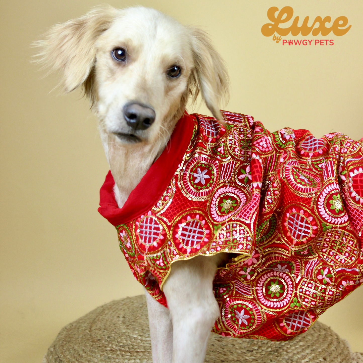 Red Embroidered Kurta | Luxe Collection | Pawgy Pets