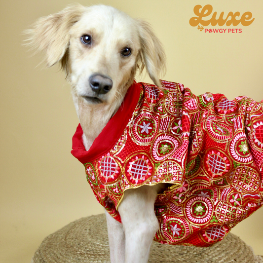 Luxe by Pawgy Pets Embroidered Red Kurta