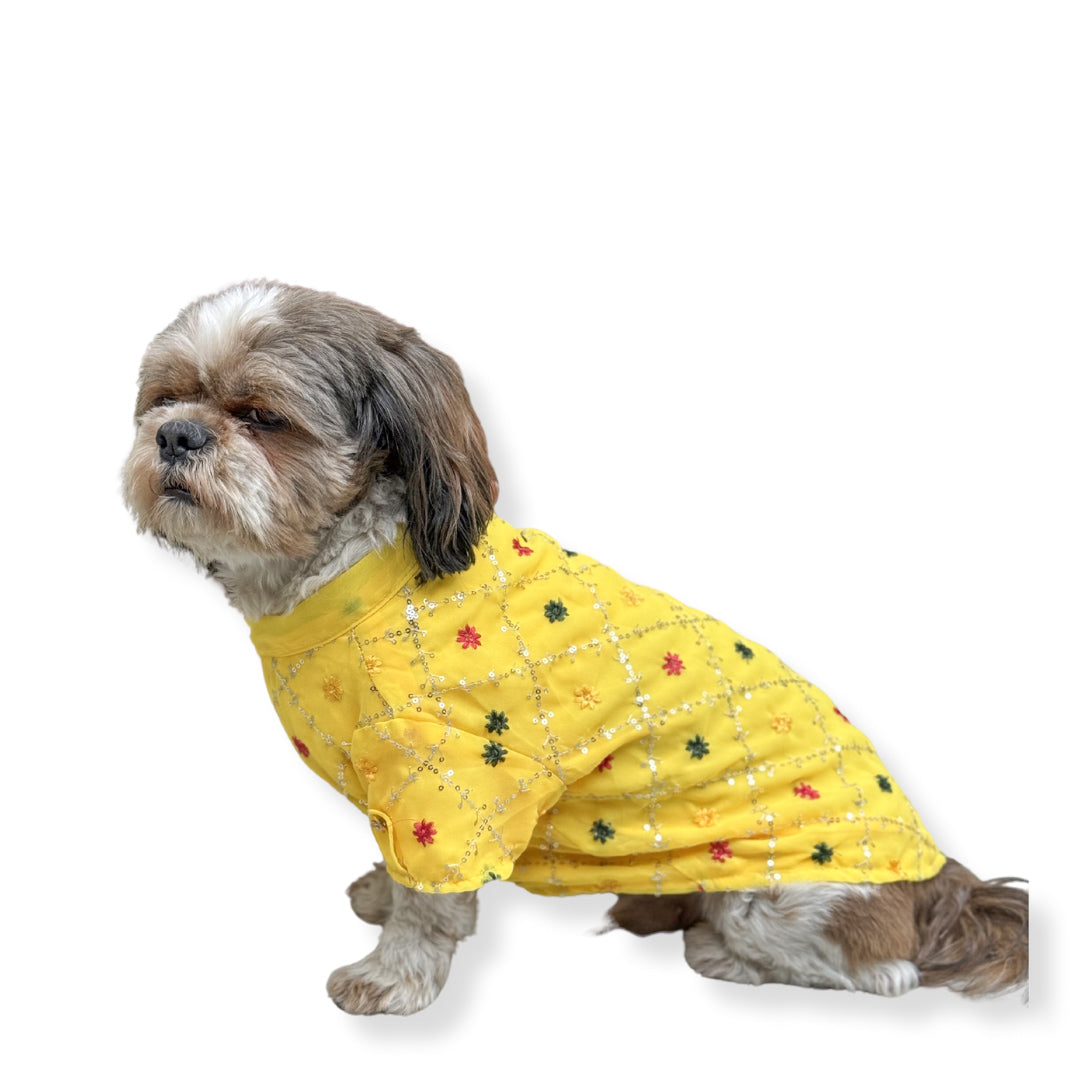 Pawgy Pets Festive Shirt Yellow for Dogs