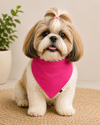 Hot Pink Bandana | For Dogs | Pawgy Pets