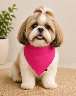 Hot Pink Bandana | For Dogs | Pawgy Pets