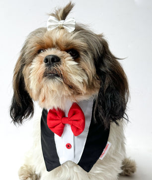 Pawgy Pets Formal Tux Bandana: Black for Dogs & Cats