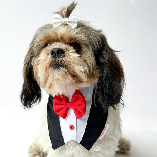 Pawgy Pets Formal Tux Bandana: Black for Dogs & Cats