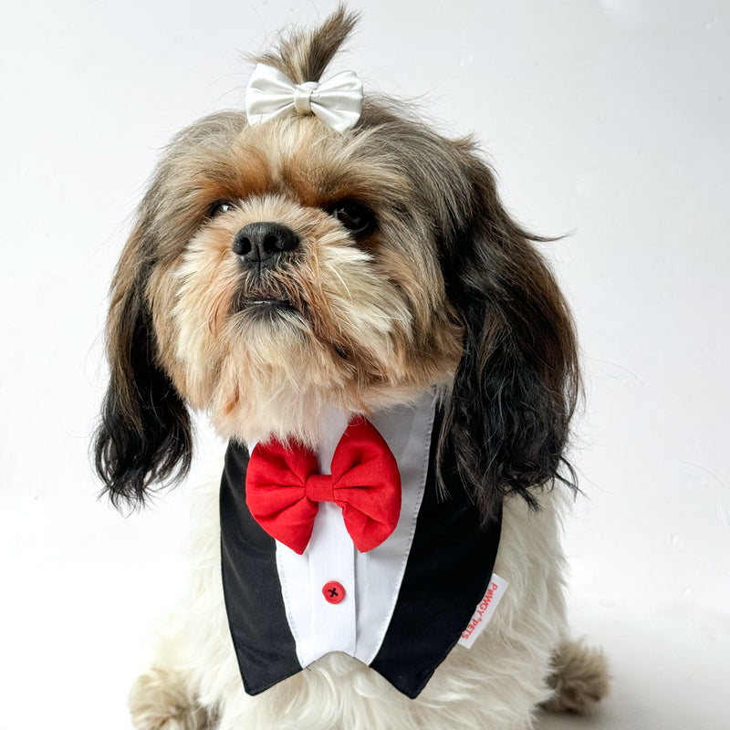 Black Formal Tux Bandana | For Dogs & Cats | Pawgy Pets