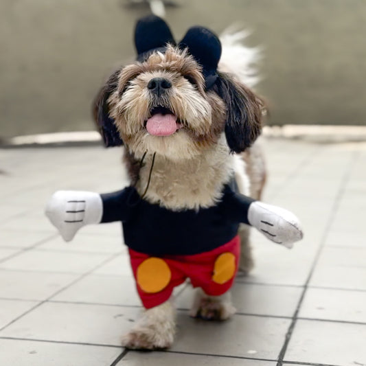 Pawgy Pets Mickey Mouse Dog Costume