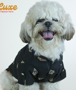Luxe by Pawgy Pets Elegant black Kurta