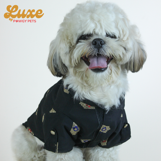 Luxe by Pawgy Pets Elegant black Kurta