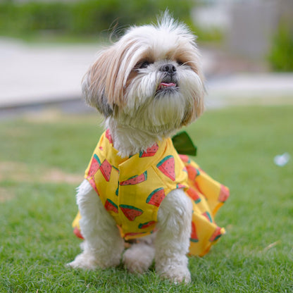 Watermelon Sugar Dress | Yellow | For Dogs | Pawgy Pets