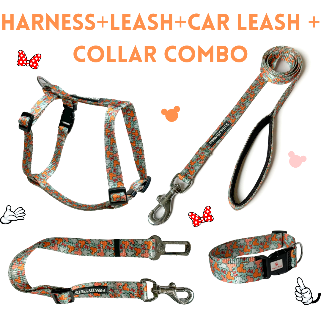 Pawgy Pets H- Harness,Leash, Collar & Car Leash Combo: Mickey Pastel Green for Dogs and Cats