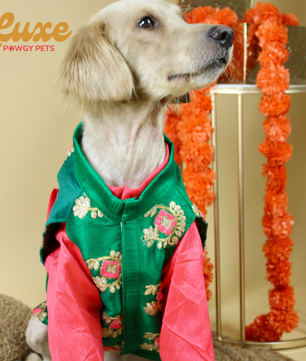 Luxe by Pawgy Pets Kurta & Hand-embroidered Nehru Jacket Bottle Green