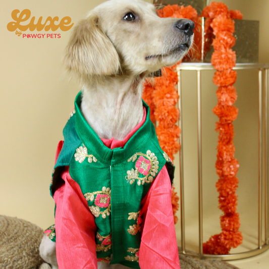 Luxe by Pawgy Pets Kurta & Hand-embroidered Nehru Jacket Bottle Green